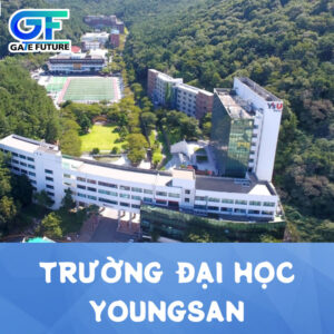 trường đại học youngsan