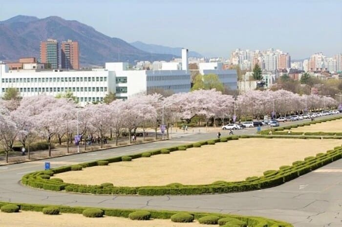 khuôn viên đại học yeungnam