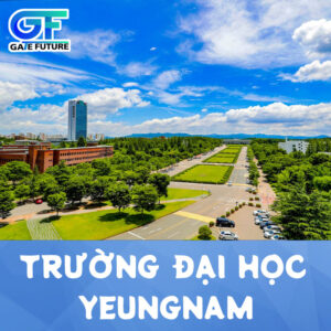 trường đại học yeungnam