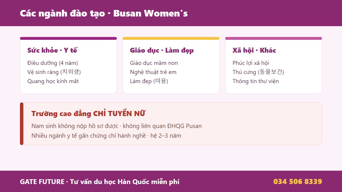 Các ngành đào tạo Cao đẳng Nữ Busan điều dưỡng giáo dục mầm non vệ sinh răng quang học kính mắt làm đẹp phúc lợi xã hội thú cưng thiết kế Hàn Quốc - Gate Future