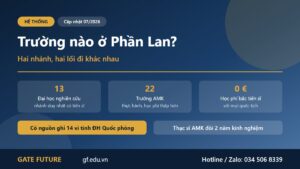 Hai nhánh giáo dục đại học Phần Lan gồm 13 đại học nghiên cứu và 22 trường khoa học ứng dụng