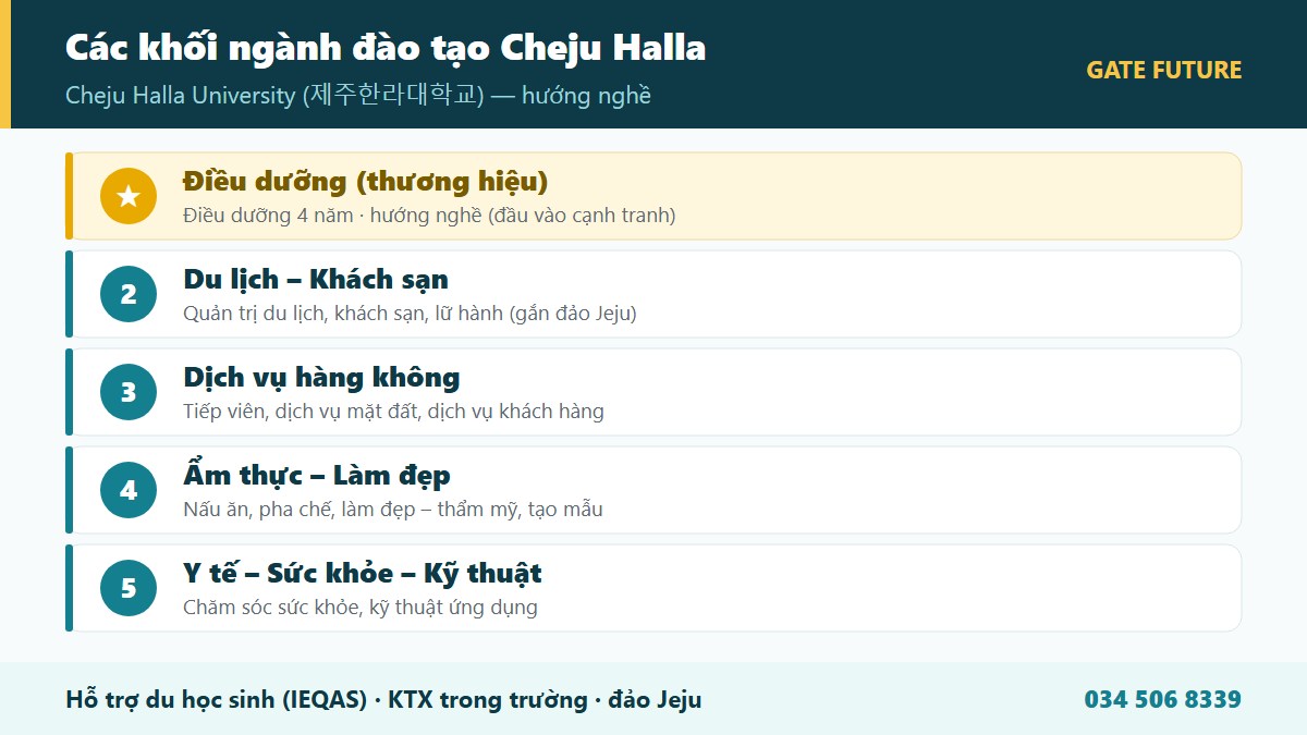 gf cheju halla 02 nganh Cơ cấu các khối ngành đào tạo Đại học Cheju Halla CHU - Điều dưỡng Du lịch Khách sạn Hàng không Làm đẹp - Gate Future