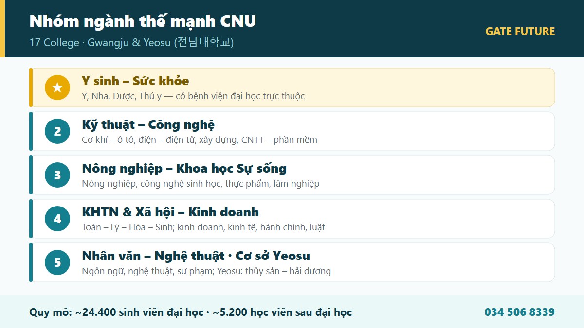Cơ cấu college và nhóm ngành đào tạo Đại học Quốc gia Chonnam CNU - y sinh, kỹ thuật, nông nghiệp - Gate Future