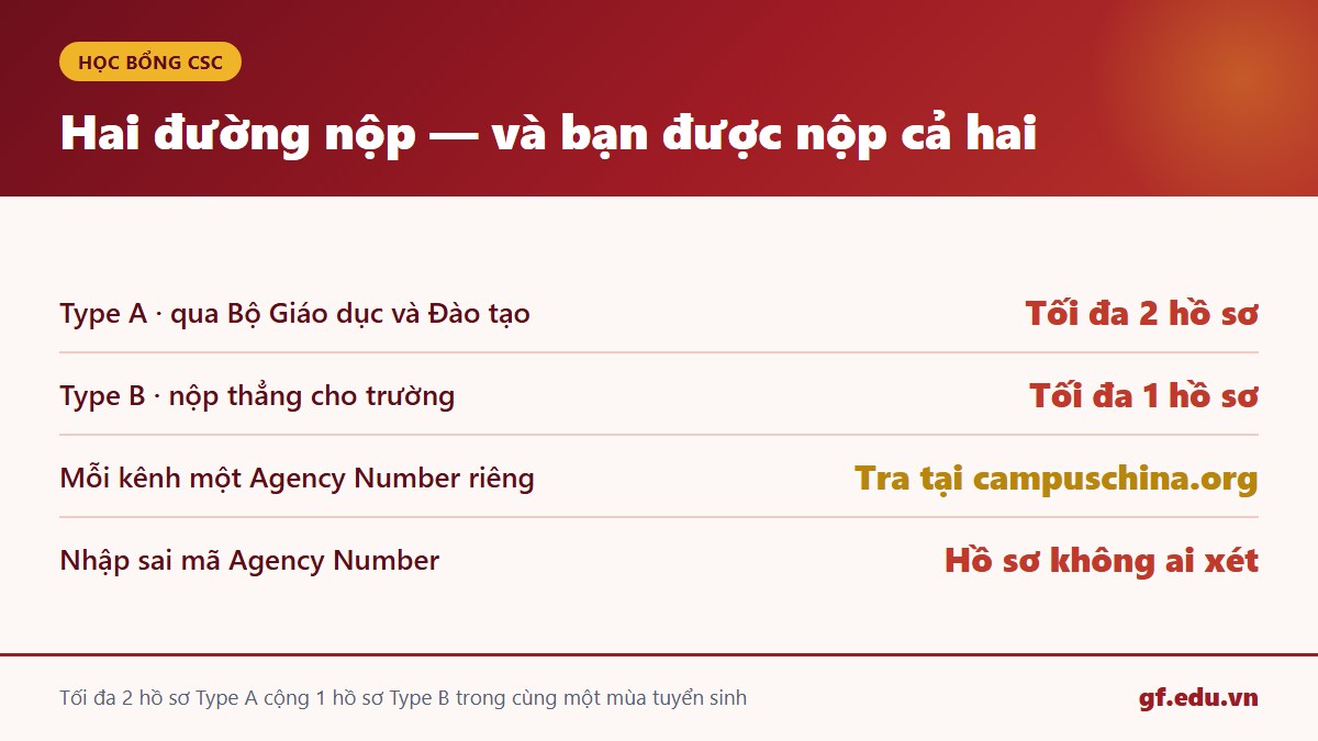 gf cn1 csc 01 2duong Sơ đồ hai đường nộp học bổng CSC Type A qua Bộ Giáo dục và Type B thẳng trường