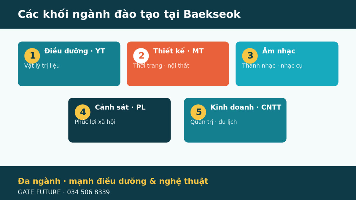 gf dai hoc baekseok Các khối ngành đào tạo tại Đại học Baekseok Hàn Quốc