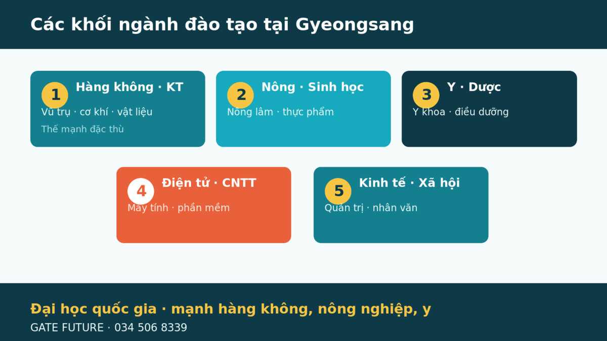 gf dai hoc quoc gia gyeongsang Các khối ngành đào tạo tại Đại học Quốc gia Gyeongsang