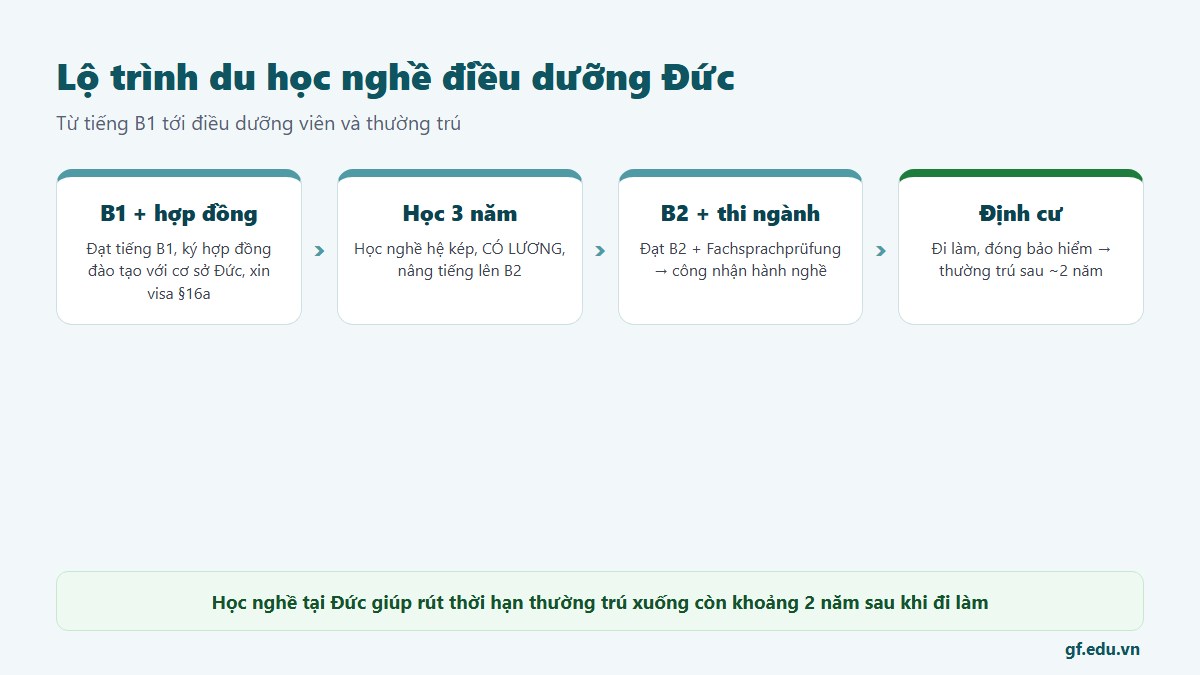 Lộ trình du học nghề điều dưỡng Đức từ tiếng B1 qua 3 năm học có lương tới B2 và thi tiếng chuyên ngành rồi định cư