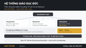 Thang giáo dục Đức phân luồng ba nhánh Hauptschule Realschule Gymnasium từ sau tiểu học