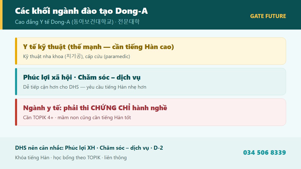 Các khối ngành đào tạo Cao đẳng Y tế Dong-A DUH - Kỹ thuật nha khoa Cấp cứu Giáo dục mầm non Phúc lợi xã hội chăm sóc sức khỏe - Gate Future
