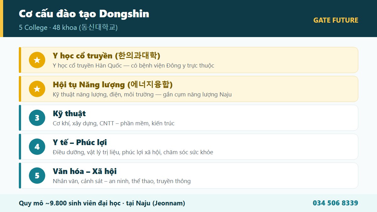 gf dongshin 02 cocau Cơ cấu 5 college và nhóm ngành đào tạo Đại học Dongshin - Y học cổ truyền, năng lượng, kỹ thuật - Gate Future