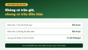 Hai điều kiện quyết định quyền làm thêm của sinh viên nước ngoài tại Ba Lan