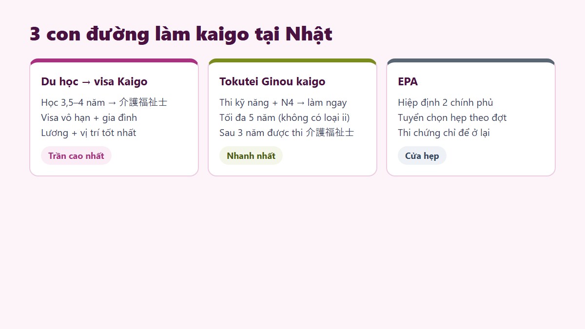 So sánh ba con đường kaigo Nhật Bản - du học Tokutei EPA - Gate Future