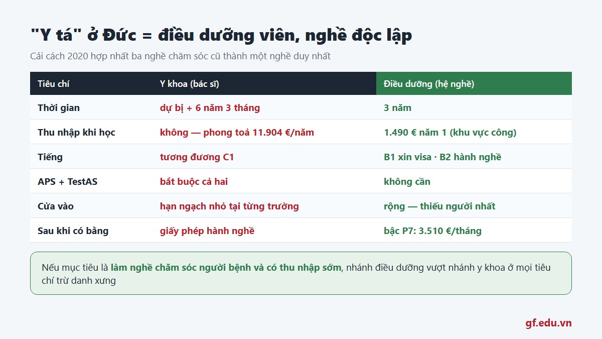 Điều dưỡng viên ở Đức là nghề độc lập ba năm có lương chứ không phải y tá trợ lý bác sĩ