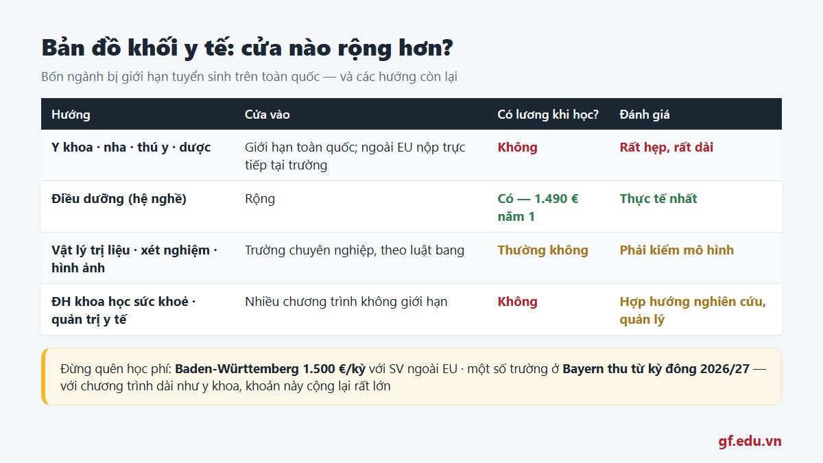 Bản đồ khối y tế Đức: bốn ngành bị giới hạn tuyển sinh toàn quốc và các hướng có cửa vào rộng hơn
