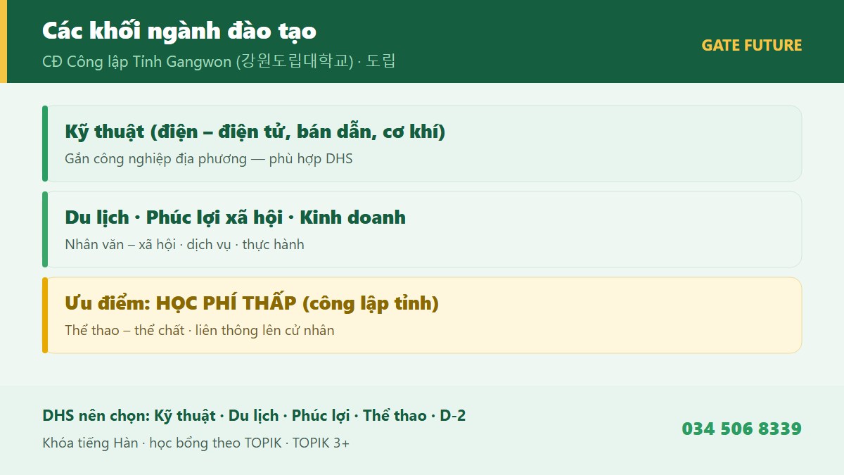 Các khối ngành đào tạo Cao đẳng Công lập Tỉnh Gangwon - Kỹ thuật điện tử bán dẫn Khoa học tự nhiên Du lịch Phúc lợi xã hội Kinh doanh Thể thao thể chất - Gate Future