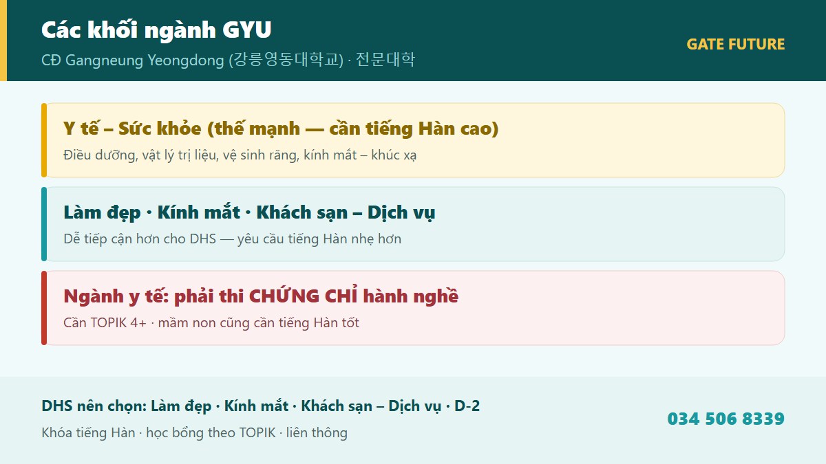 gf gyu 02 nganh Các khối ngành đào tạo Cao đẳng Gangneung Yeongdong GYU - Điều dưỡng Vật lý trị liệu Vệ sinh răng Kính mắt Làm đẹp Khách sạn dịch vụ Giáo dục mầm non - Gate Future