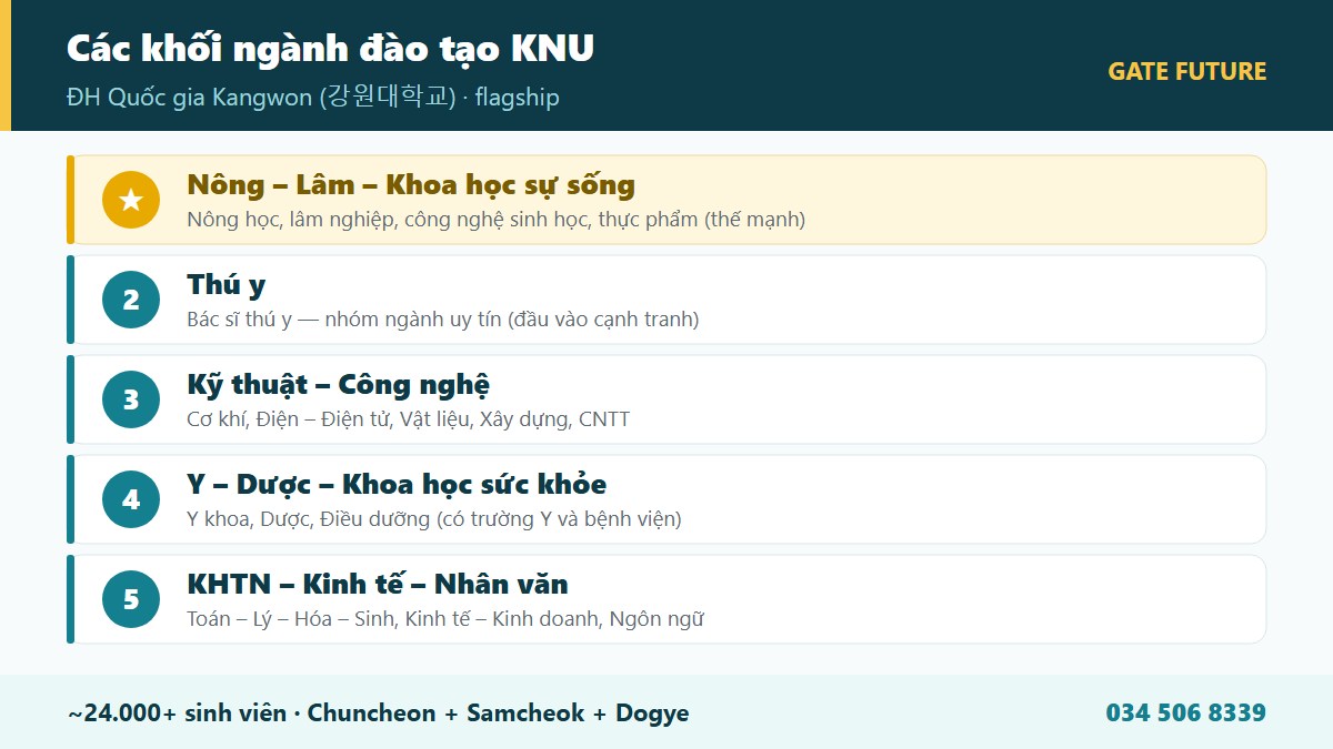 Cơ cấu các khối ngành đào tạo Đại học Quốc gia Kangwon KNU - Nông Lâm Sinh Thú y Kỹ thuật Y Dược - Gate Future