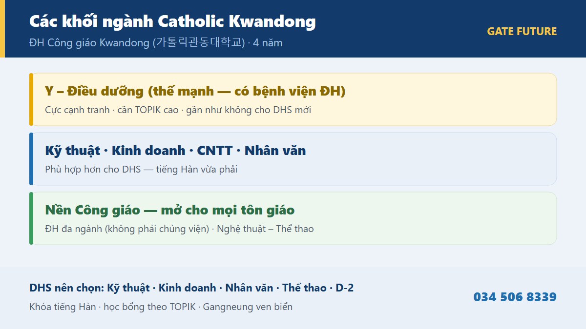 Các khối ngành đào tạo Đại học Công giáo Kwandong CKU - Y khoa Điều dưỡng Khoa học sức khỏe Kỹ thuật Kinh doanh Nhân văn xã hội Nghệ thuật thể thao - Gate Future