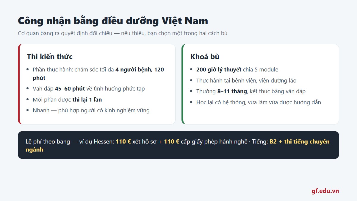 Hai cách bù phần thiếu khi công nhận bằng điều dưỡng Việt Nam tại Đức: thi kiến thức hoặc khoá bù