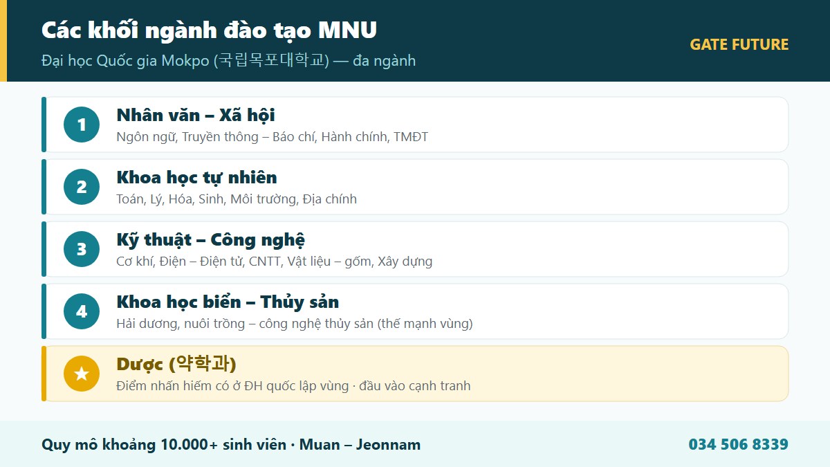 Cơ cấu các khối ngành đào tạo Đại học Quốc gia Mokpo MNU - Dược Kỹ thuật Khoa học biển Nhân văn - Gate Future