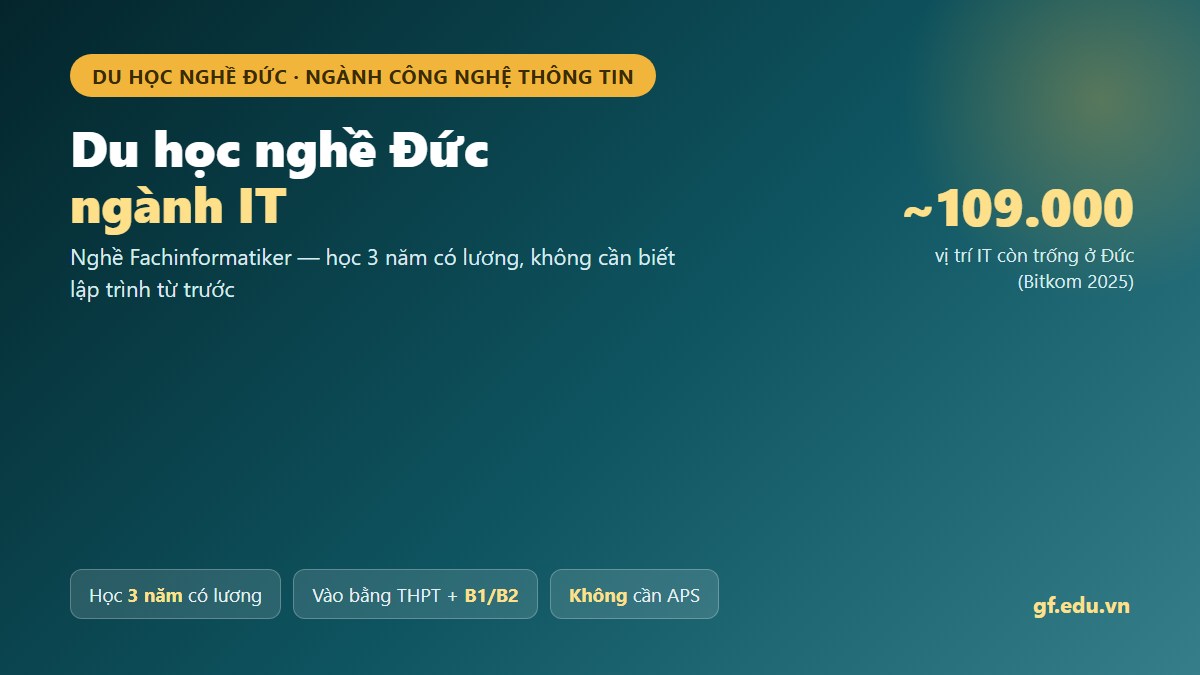 Du học nghề Đức ngành IT, nghề Fachinformatiker học 3 năm có lương, Đức thiếu khoảng 109.000 nhân lực IT