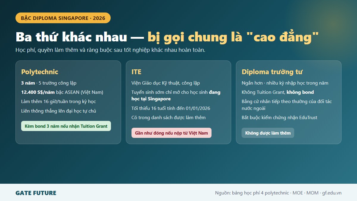 So sánh ba loại cao đẳng ở Singapore gồm polytechnic, ITE và diploma của trường tư về học phí, quyền làm thêm và ràng buộc