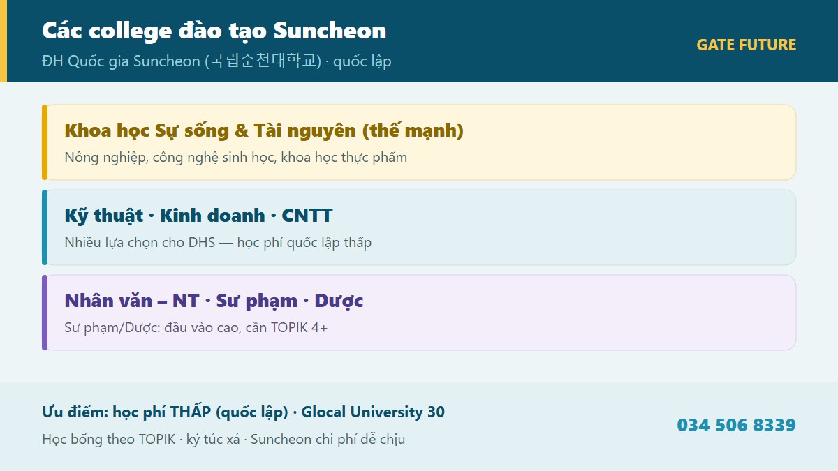 gf suncheon 02 nganh Các college khối ngành đào tạo Đại học Quốc gia Suncheon SCNU - Khoa học sự sống nông sinh Kỹ thuật Dược Khoa học xã hội Nhân văn nghệ thuật Sư phạm - Gate Future