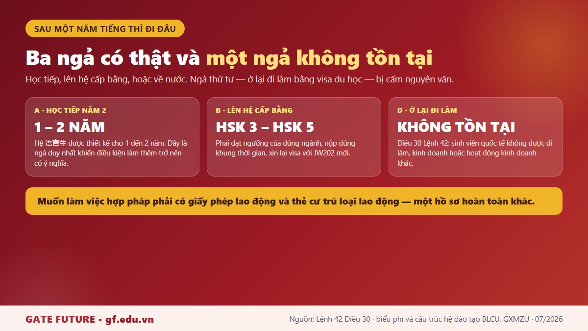 gf tq3 1nam sau mot nam Bốn ngả sau khi kết thúc khoá tiếng một năm tại Trung Quốc, trong đó một ngả không tồn tại về pháp lý
