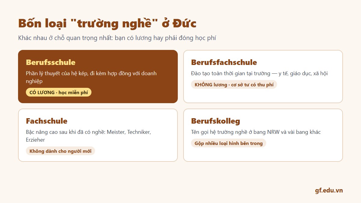 Bốn loại trường nghề ở Đức: Berufsschule có lương, Berufsfachschule không lương, Fachschule là bậc nâng cao và Berufskolleg là tên gọi theo bang