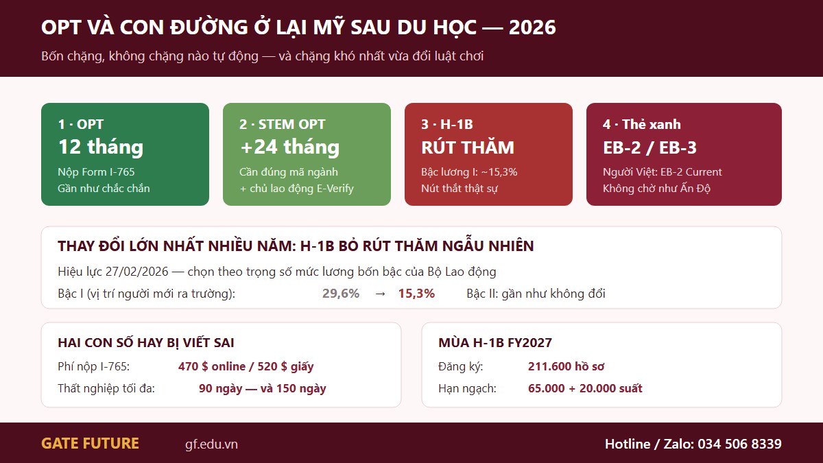 Bốn chặng từ OPT tới thẻ xanh khi du học Mỹ và điểm nghẽn ở bước H-1B
