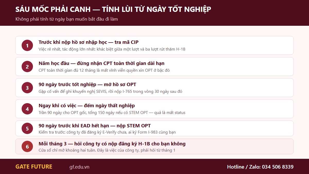 Sáu mốc thời gian phải canh từ trước khi tốt nghiệp tới mùa đăng ký H-1B