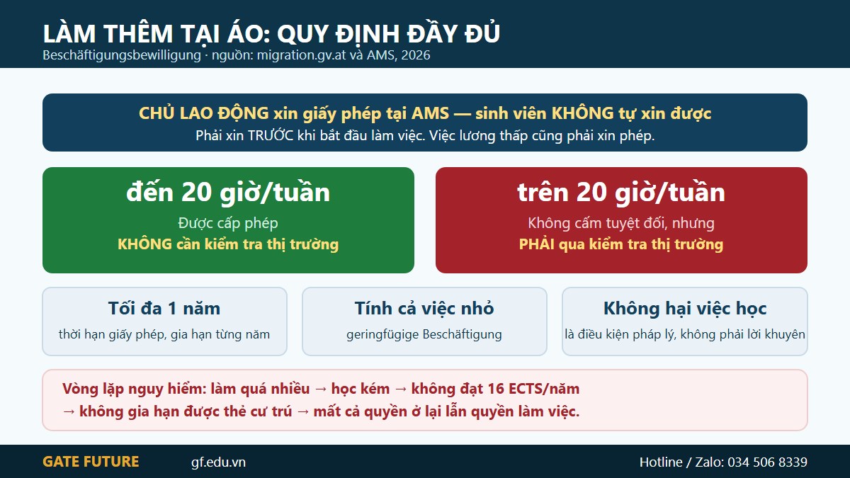 Quy định làm thêm cho sinh viên quốc tế tại Áo và giới hạn 20 giờ mỗi tuần