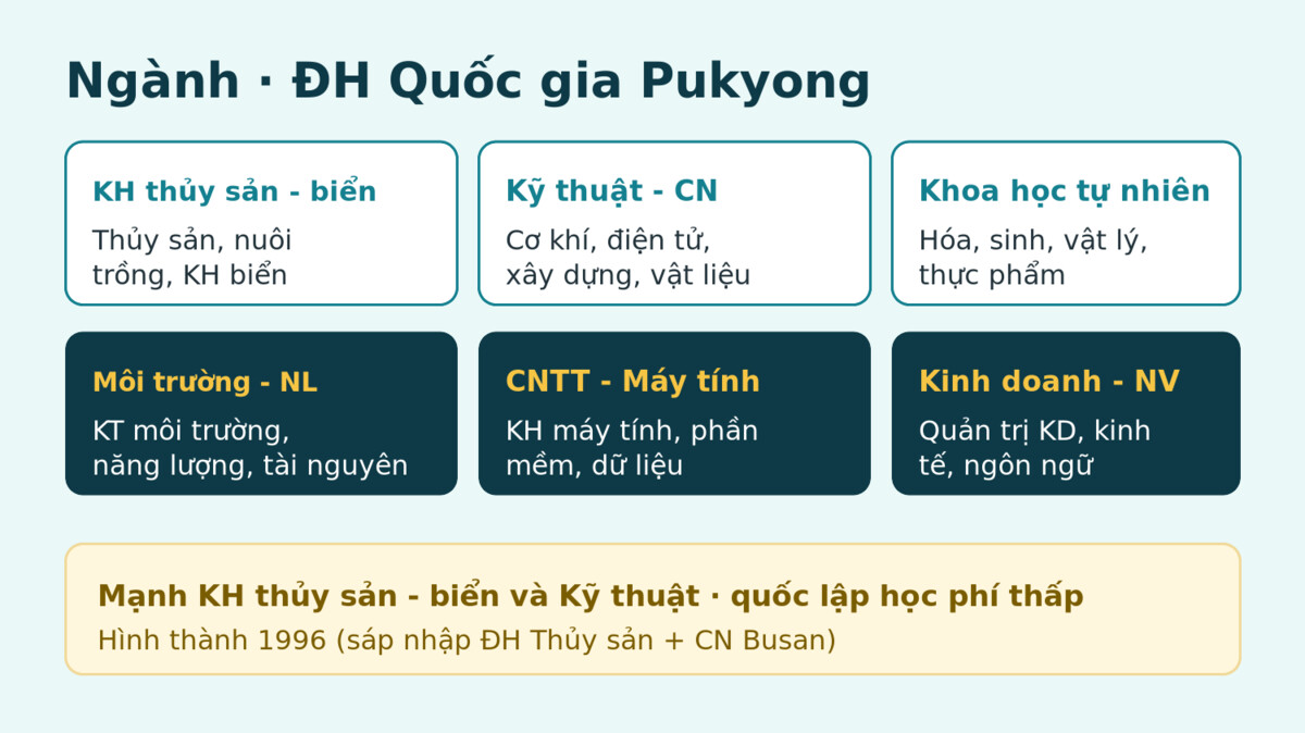 Cac nganh dao tao ĐH Quốc gia Pukyong - Gate Future