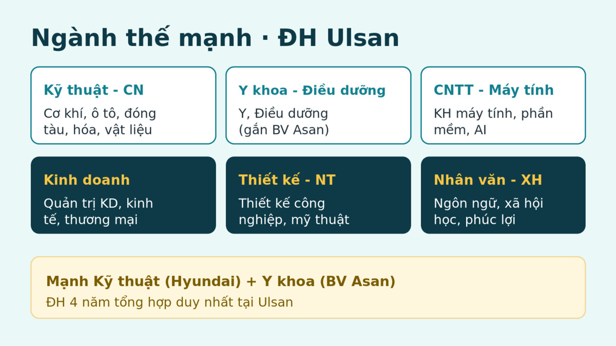 ulsan 2 Cac nganh dao tao noi bat Đại học Ulsan - Gate Future