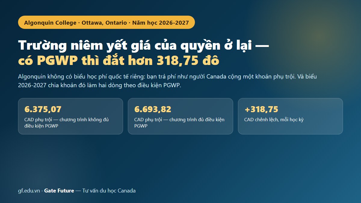 Cao đẳng Algonquin 2026-2027 — phụ trội quốc tế chia theo điều kiện của giấy phép lao động sau tốt nghiệp