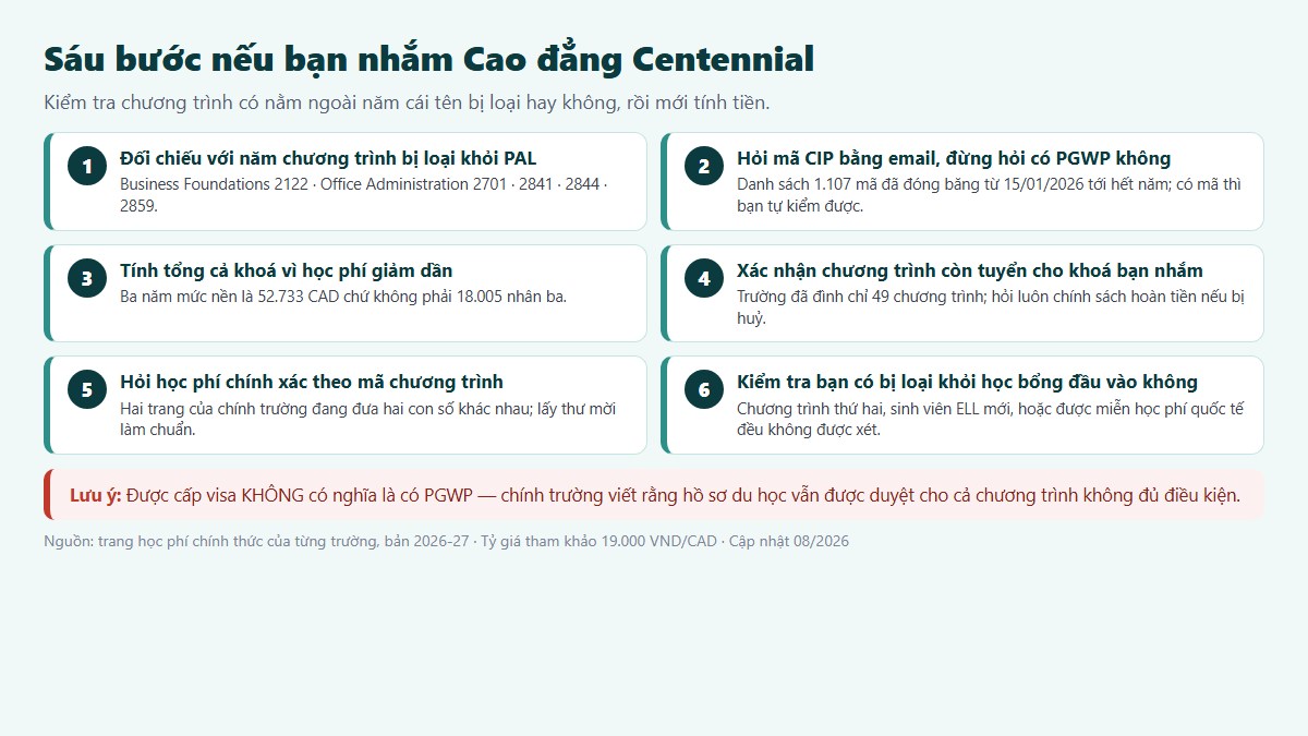 Sáu bước chuẩn bị nếu bạn nhắm Cao đẳng Centennial — bắt đầu từ danh sách năm chương trình bị loại khỏi PAL