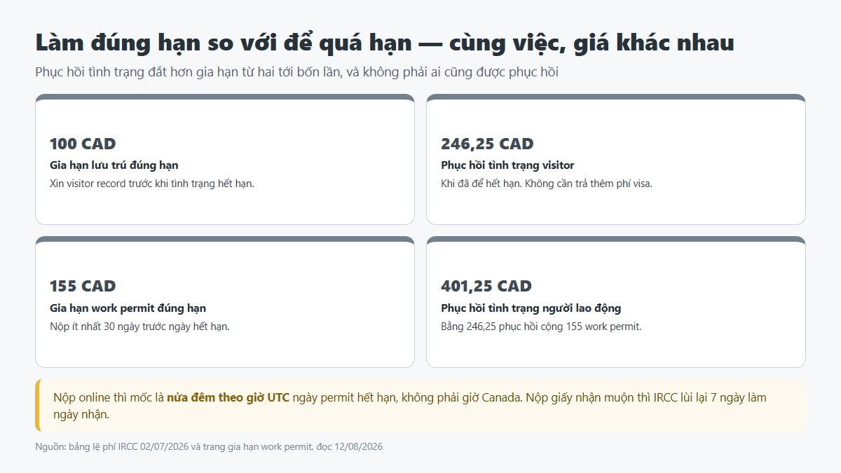 gf chi phi visa canada 03 dung han qua han So sánh chi phí gia hạn đúng hạn và phục hồi tình trạng quá hạn