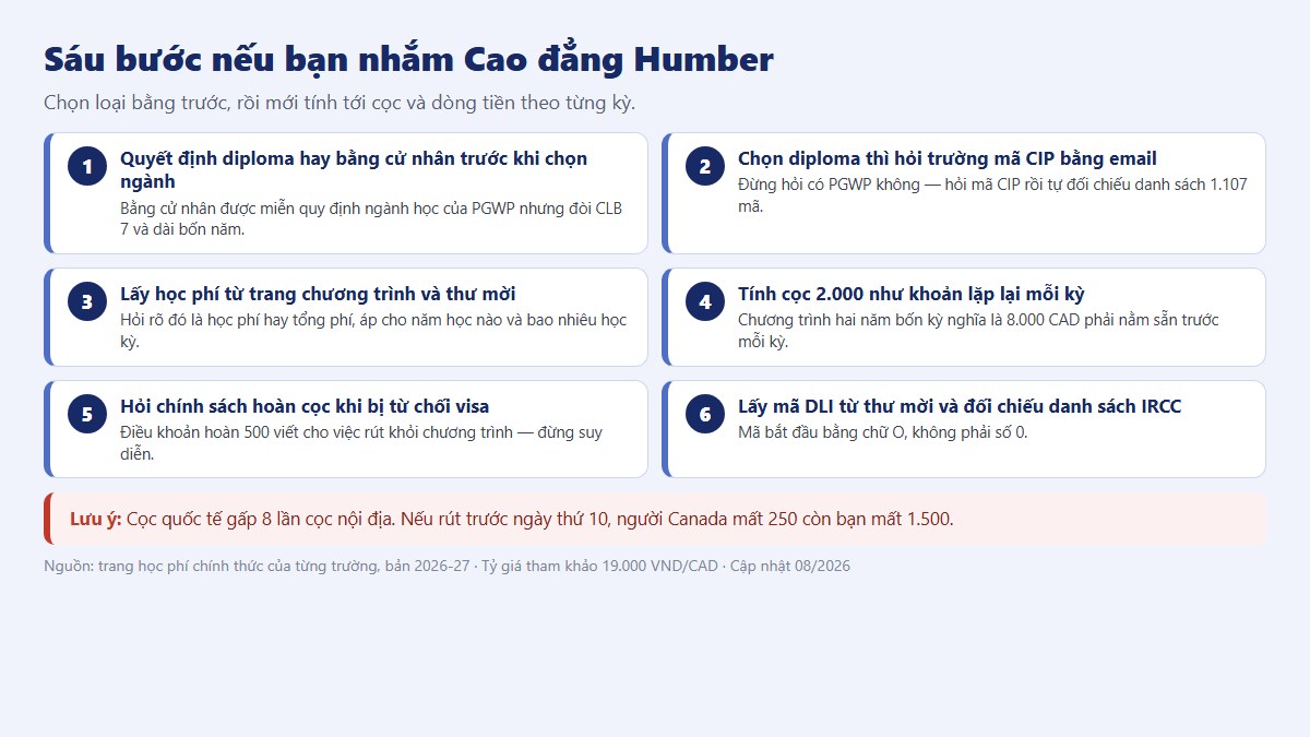 Sáu bước chuẩn bị nếu bạn nhắm Cao đẳng Humber — bắt đầu từ việc chọn diploma hay bằng cử nhân