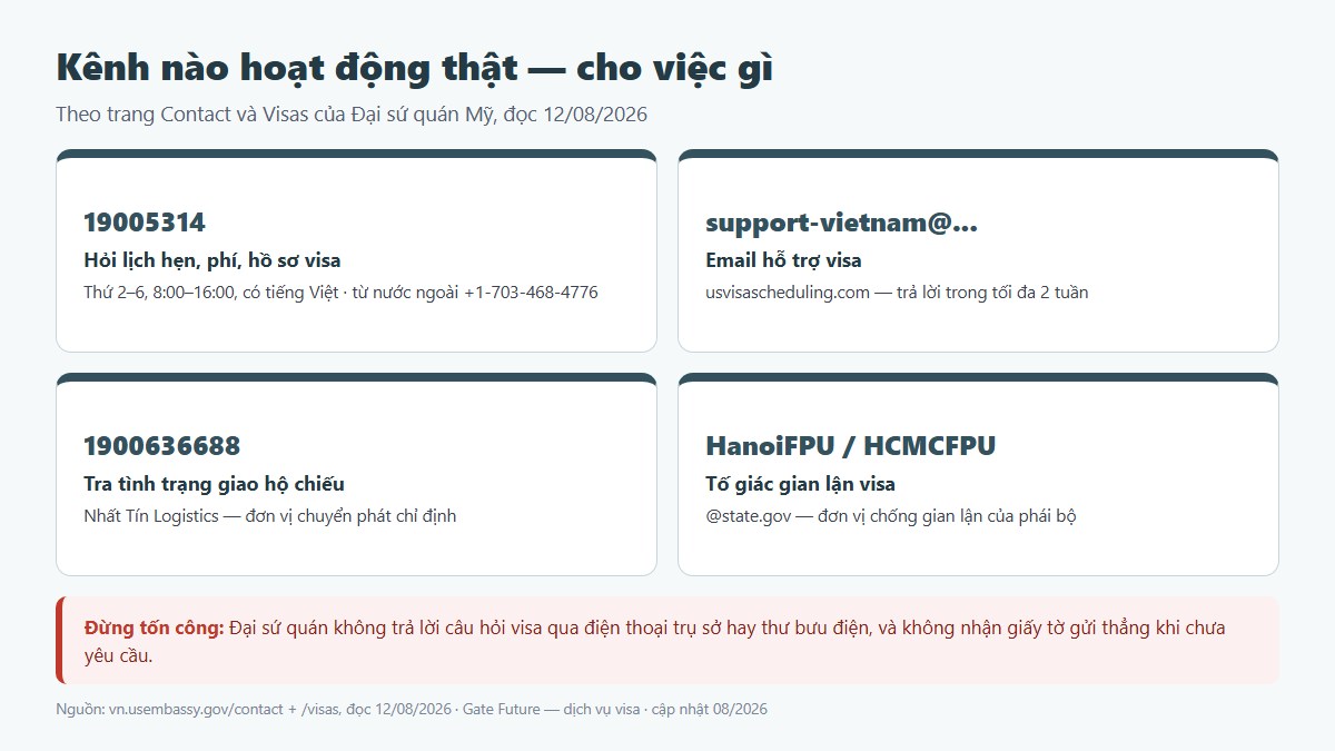 Các kênh liên hệ visa Mỹ: tổng đài 19005314 và Nhất Tín Logistics