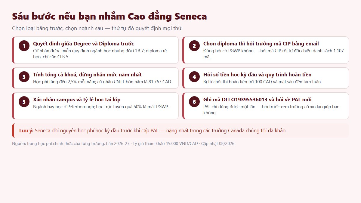 Sáu bước chuẩn bị nếu bạn nhắm Cao đẳng Seneca — bắt đầu từ việc chọn loại bằng chứ không phải chọn ngành