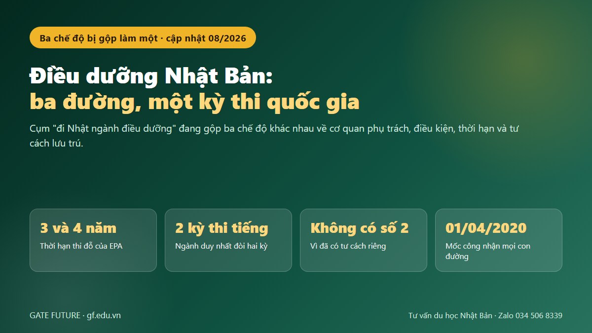 Ba con đường ngành chăm sóc điều dưỡng tại Nhật và điểm hội tụ là chứng chỉ quốc gia