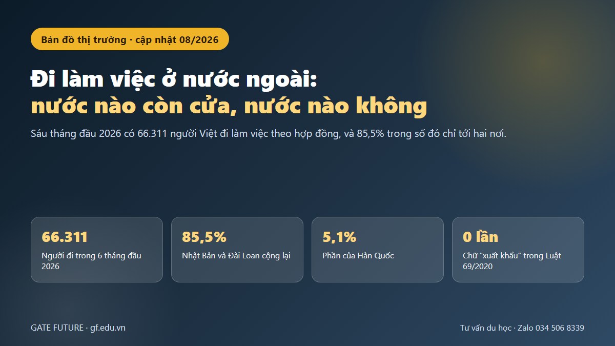 gf xuat khau lao dong 01 hero Bản đồ thị trường lao động ngoài nước cho người Việt năm 2026
