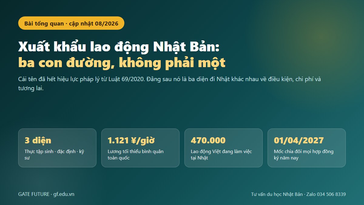 Xuất khẩu lao động Nhật Bản — ba con đường khác nhau về điều kiện, chi phí và tương lai, không phải một